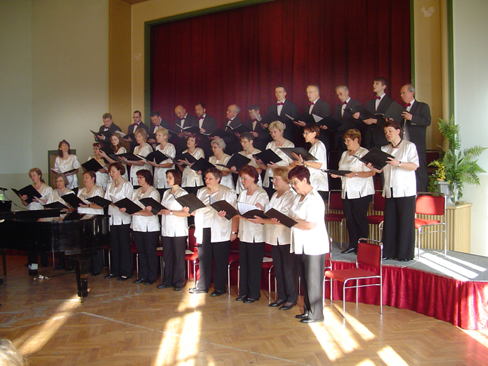 Konzert in der Scheffelbergschule